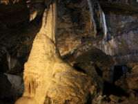 Mitchelstown Cave